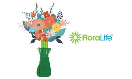 Introducing FloraLife Bouquet Wrap to Hydrate  Bouquets During Transport