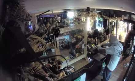 ‘I’ll give it back!’ — Video shows trapped intruder put $$ back, beg floral shop owner to let him go