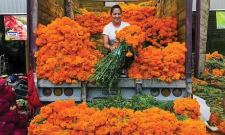 Day of The Dead Florals