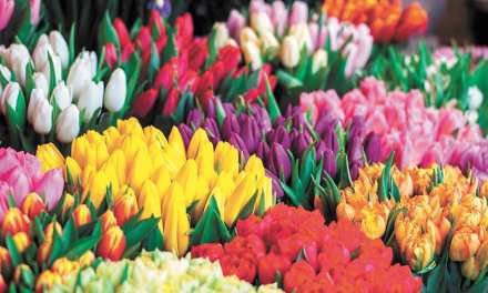 As coronavirus ravaged the prom and wedding seasons, florists found they had to adapt to survive