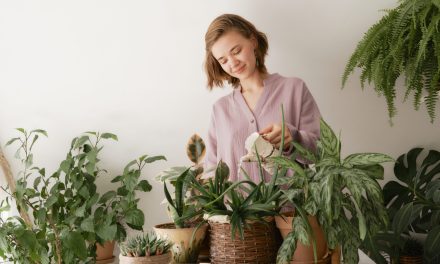 Growing the Houseplant Market: Part 2