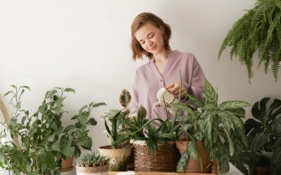 “Eco-Optimism”