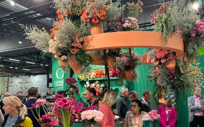 Florists’ Review Visits the IFTF and Trade Fair Aalsmeer