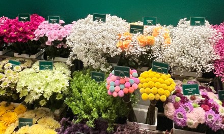 Danziger continues to celebrate & empower women florists in 2023