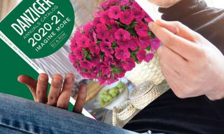 Danziger Launches its New Annuals Catalog for the 20-21 Season