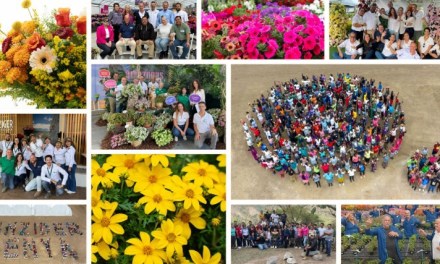 Danziger celebrates 70th anniversary