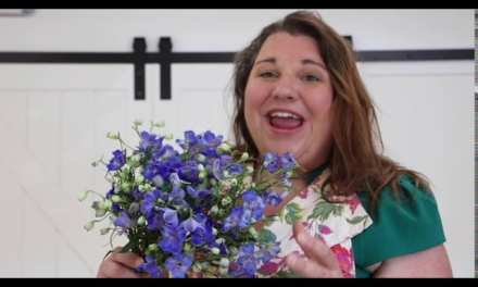 Delphinium Posey Bouquet