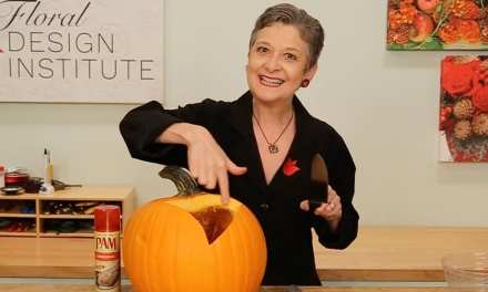 Designing with a Pumpkin