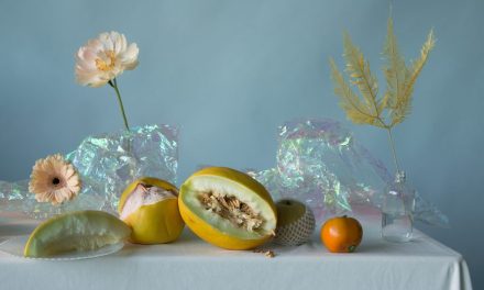 Doan Ly Has a Knack For Capturing the Ethereal Beauty of Flowers