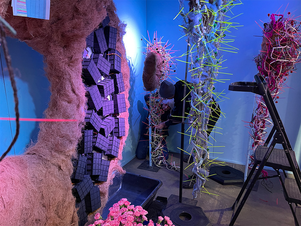 Donut Display Construction