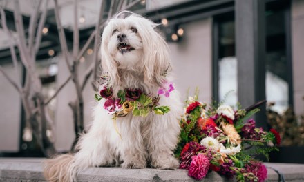 Florists’ Review: June 24 Digital Magazine