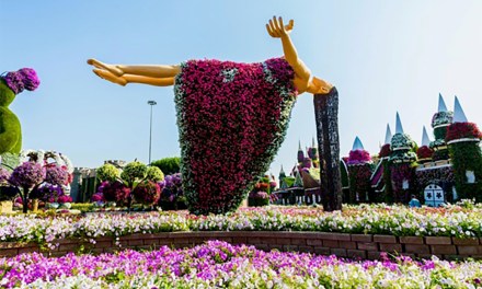 Bucket-list Floral Experiences