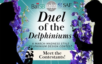 Meet The Duel of the Delphiniums Contestants!