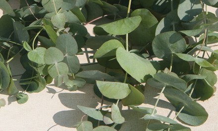 Continental Floral Greens & Kendall Farms Announce Partnership