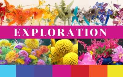 Exploration