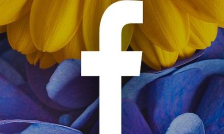 Facebook Advertising Trends to Boost Your Floral Sales