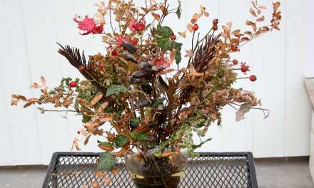 Garden Notes: There are still native centerpiece materials about