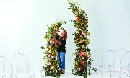 Sustainably Designed Broken Arch