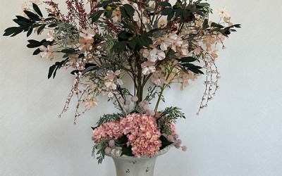 Blooming Olive Tree