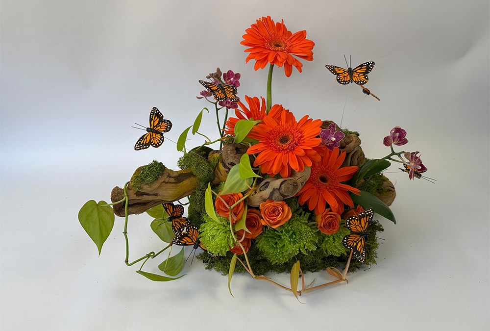 Blossoms and Butterflies