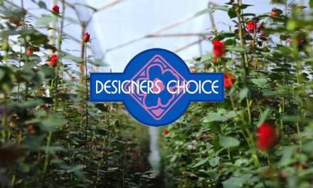 Building For Better Blooms – Designers Choice Creates Boston Headquarters