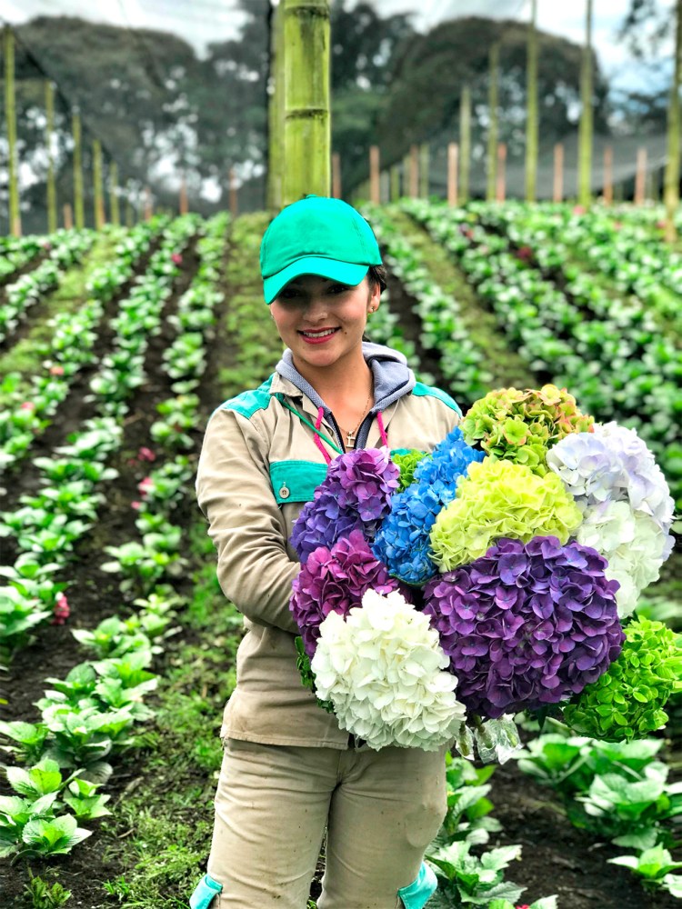 Flor de Estes Worker