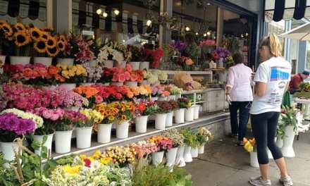 Flower Shops: The Benefits and Uses