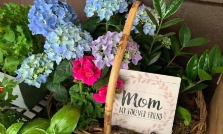 Mother’s Day Survival Guide