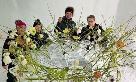Recap from Floral Workshop at Icehotel in Sweden