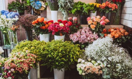 Learning To Say No to a Zillion Requests for Free Flowers