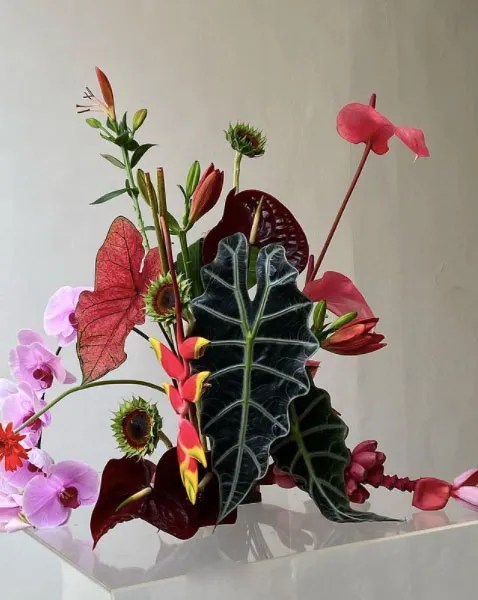 pink orchids and green jungle leaves by opm florists pink orchids and green jungle leaves by opm florists