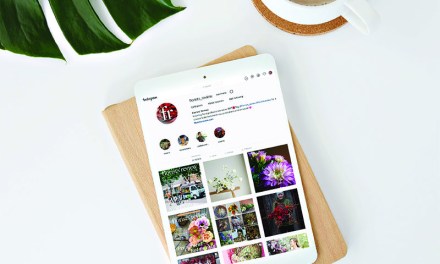 Content is King: Unleashing Your Instagram Genius