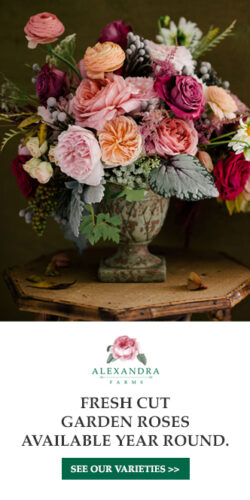 Alexandra Farms