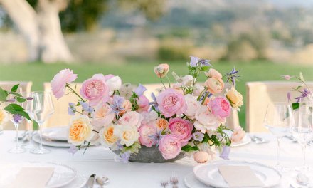The Evolution of the Garden Rose