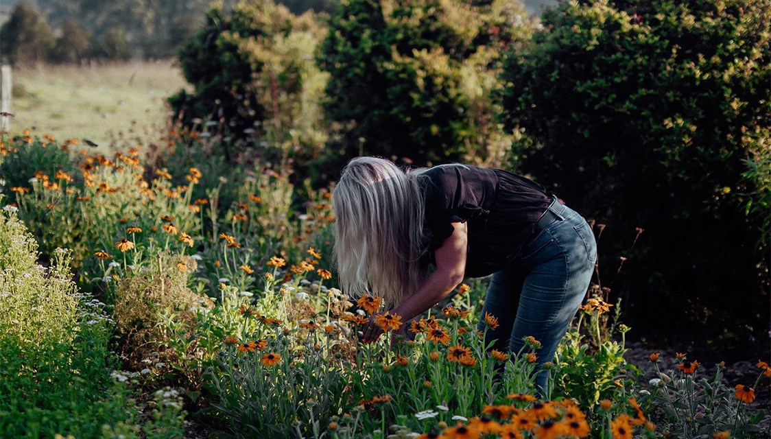 Australia’s Floral Revolution
