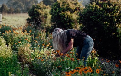 Australia’s Floral Revolution
