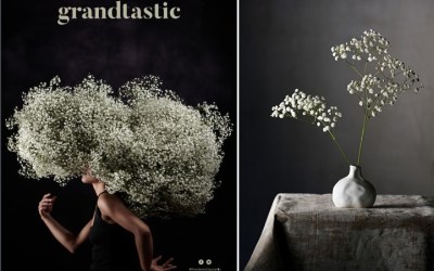 Grandtastic has a Unique Potential in the Gypsophila Market