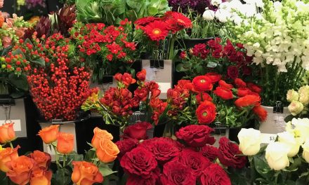 Test Start: Flower Business