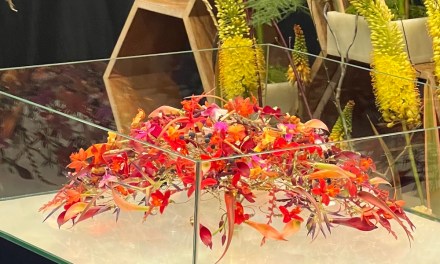For a Wedding Above the Clouds: What Would You Make?