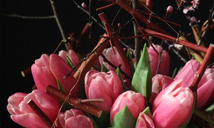 Spring Has Sprung—in a Modern Manner