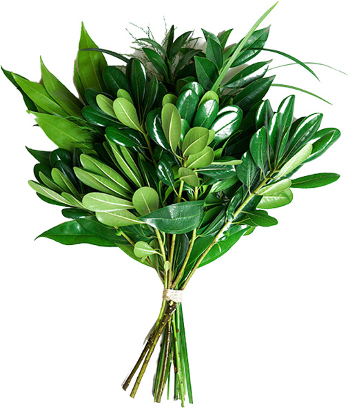 just add blooms