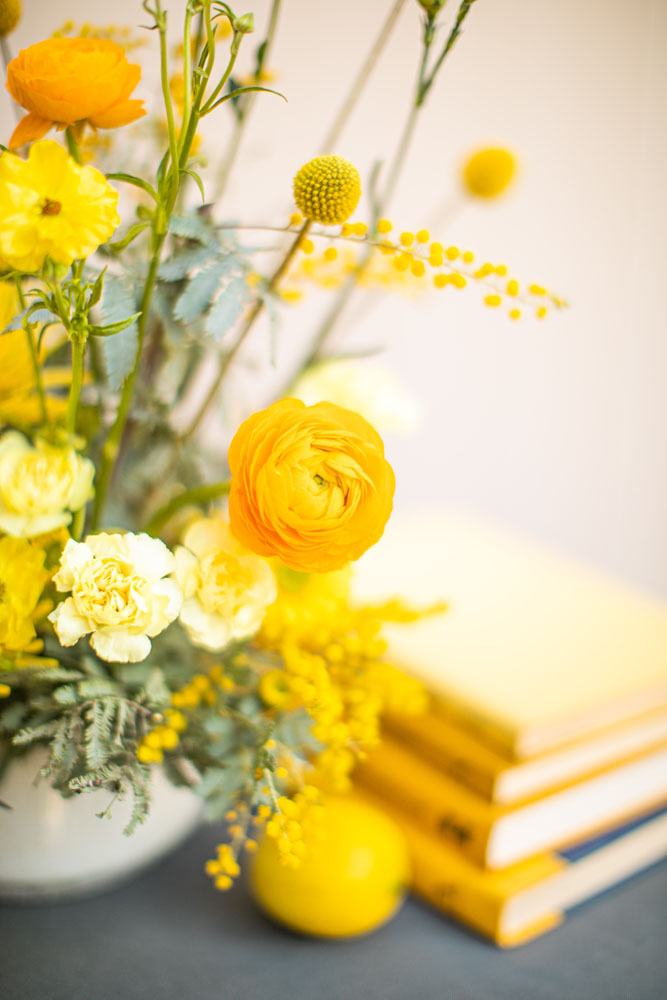 Kat Castagnoli_designer_OanaFoto_Photog_Yellow8_1 Kat Castagnoli_designer_OanaFoto_Photog_Yellow8_1