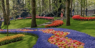 Keukenoff in Holland
