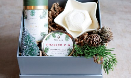 Holiday Gift and Planning Guide