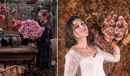 Decofresh introduces the new rose Moccachino from breeder De Ruiter