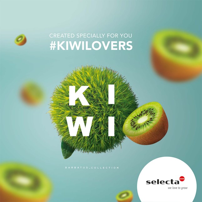Logo Kiwi
