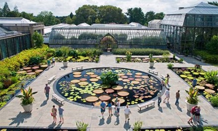 A Day at Longwood Gardens