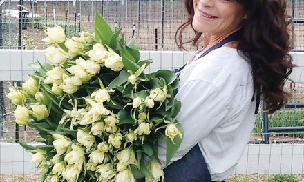 1 Minute Interview: Angela Kilmer, Owner of Meri Jo Flower Farm
