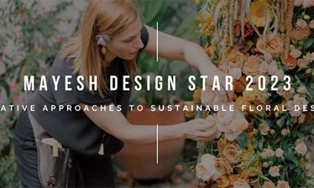 Mayesh is Searching for its 2023 Mayesh Design Star
