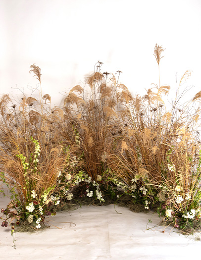 meadow design